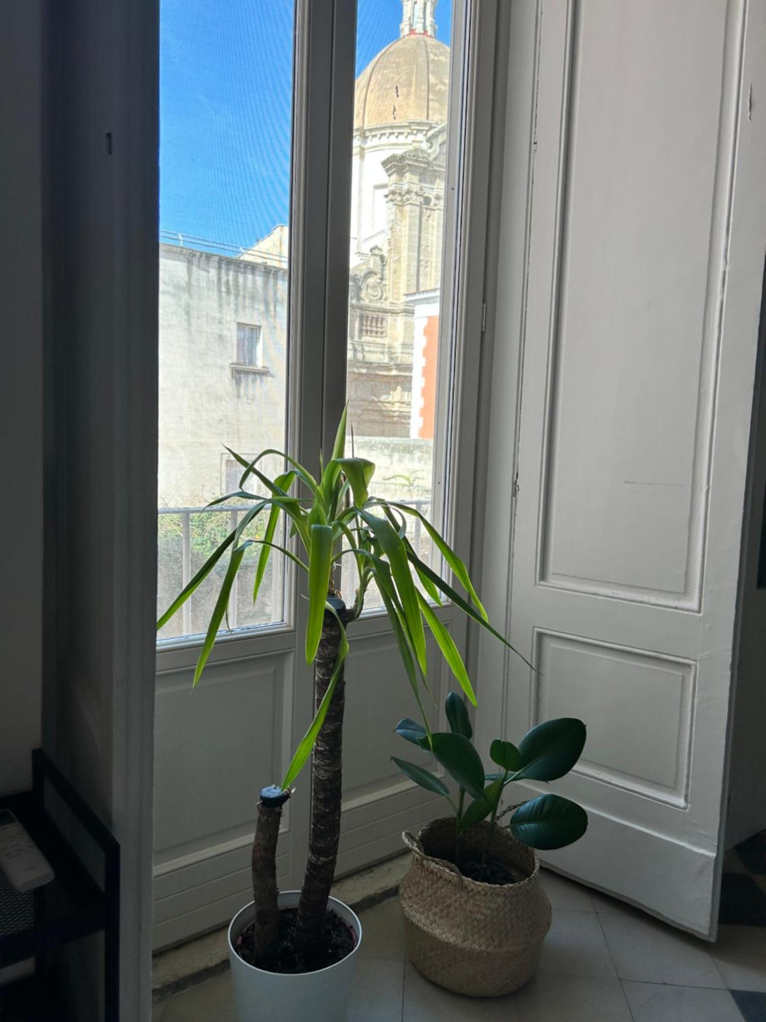 Appartement Bivu à Bari Extérieur photo